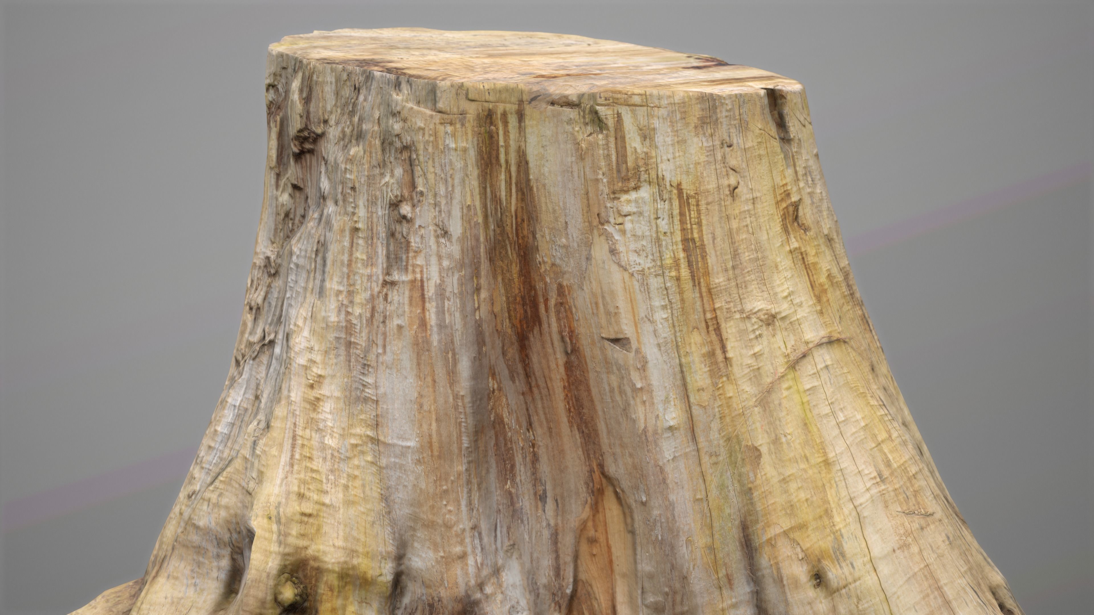 Big Tree Stump Low-poly 3D model_6