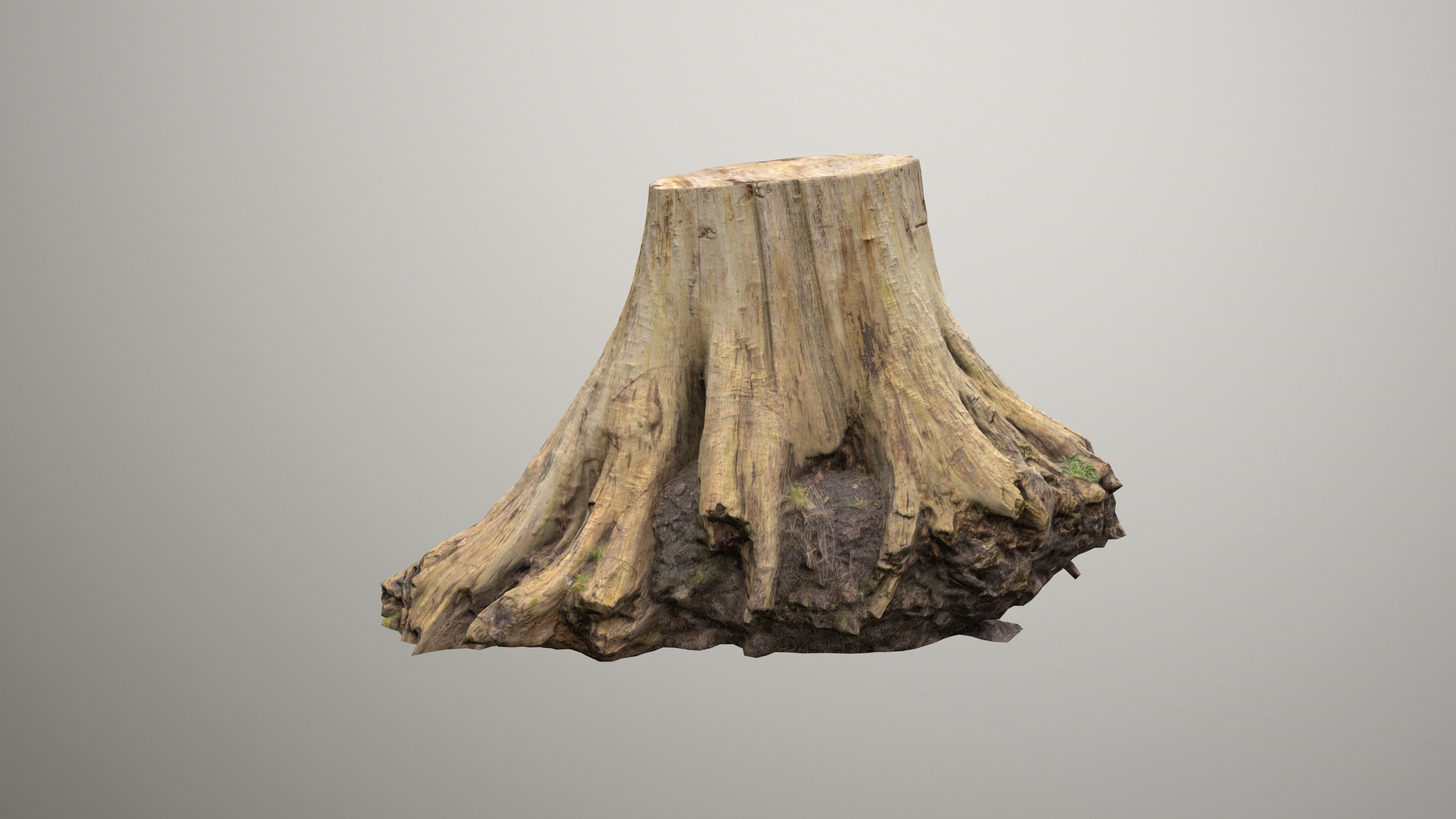 Big Tree Stump Low-poly 3D model_4
