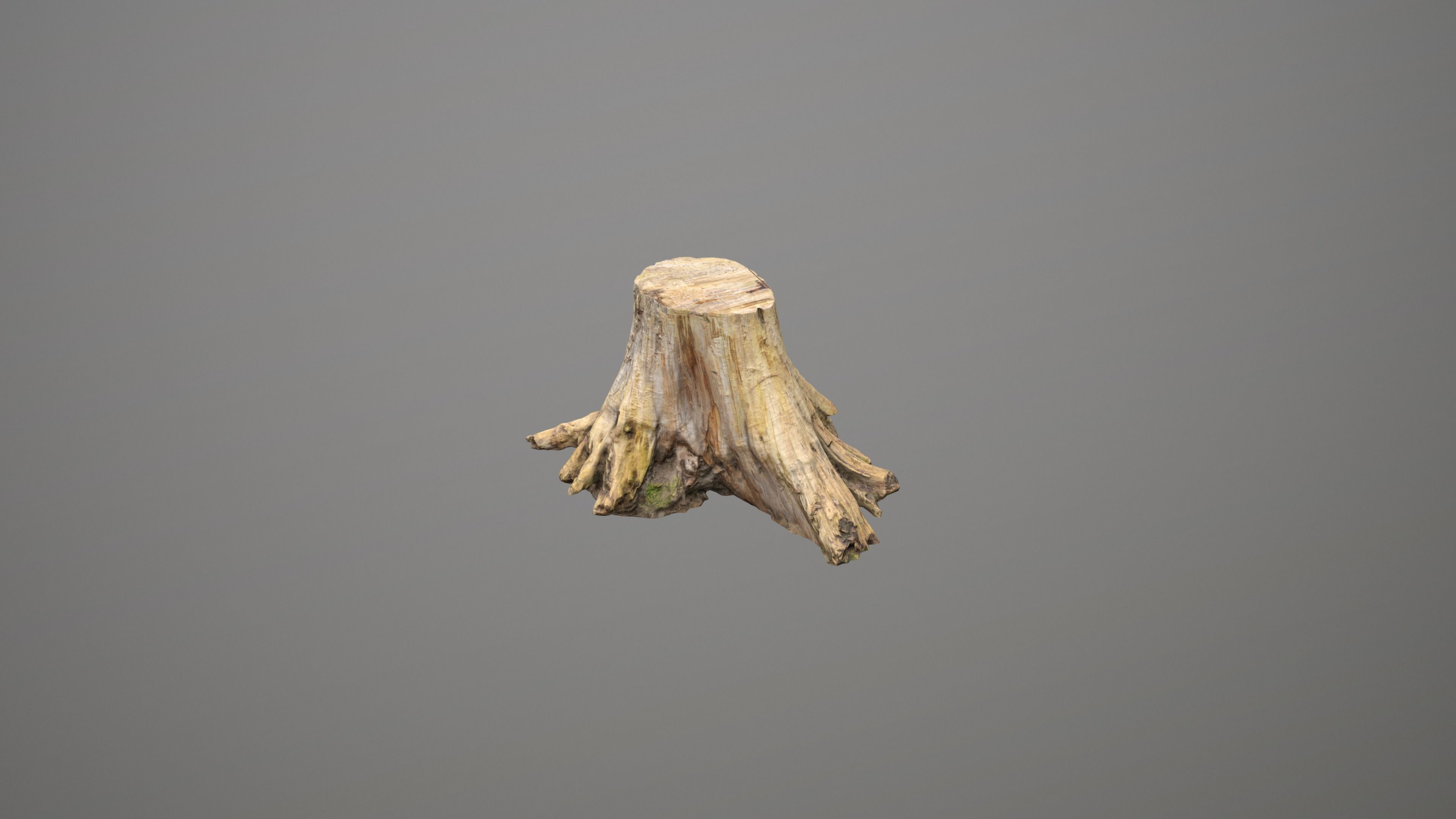 Big Tree Stump Low-poly 3D model_16