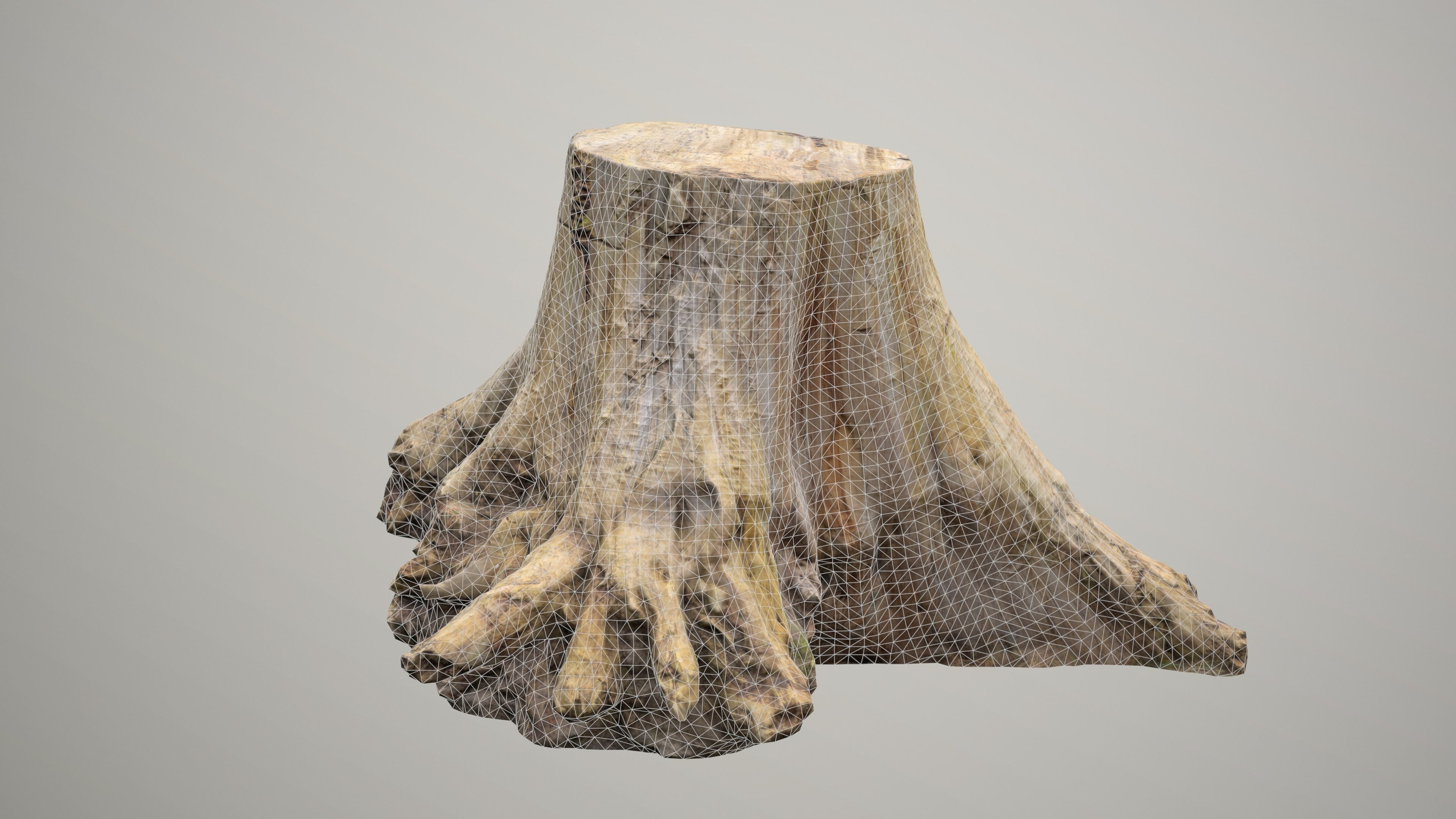 Big Tree Stump Low-poly 3D model_12