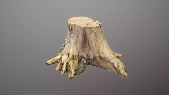 Big Tree Stump Low-poly 3D model