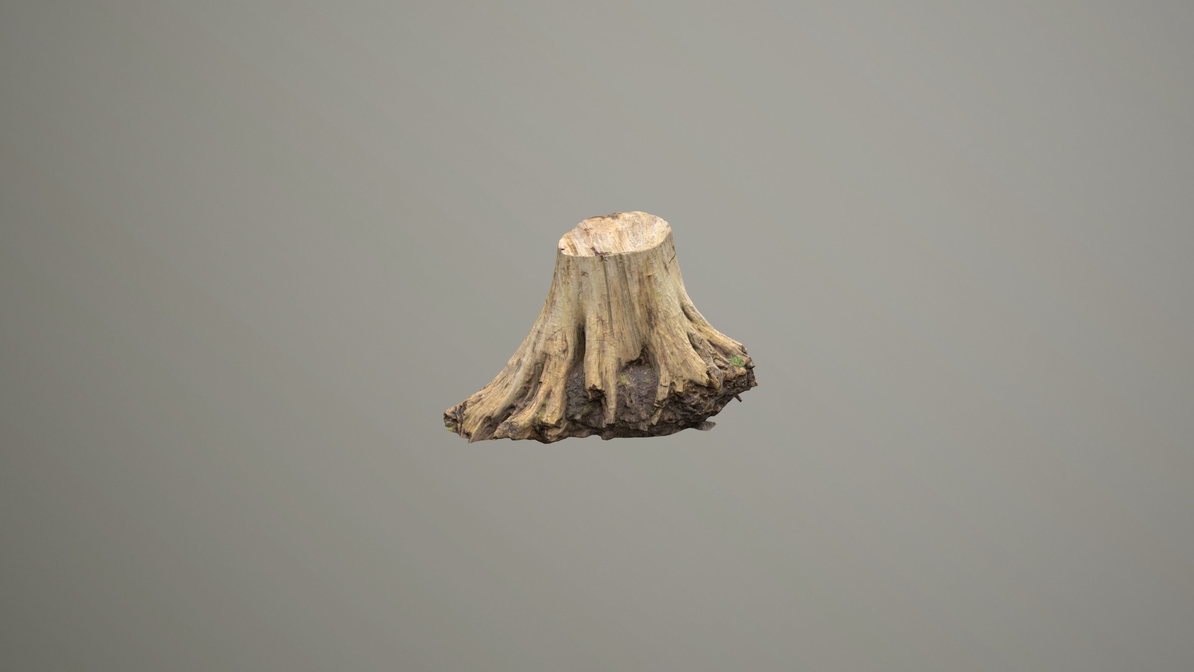 Big Tree Stump Low-poly 3D model_15