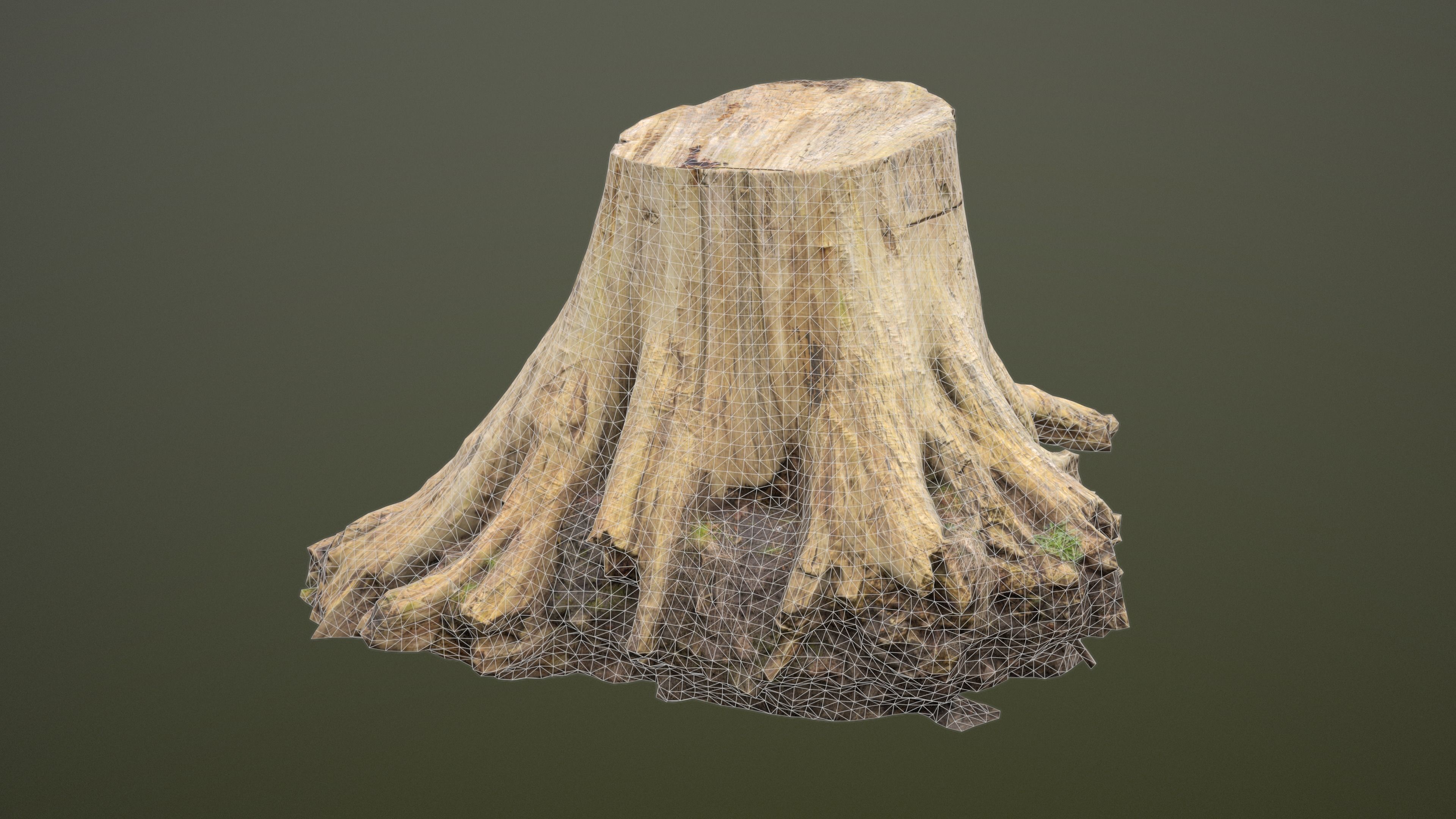 Big Tree Stump Low-poly 3D model_14
