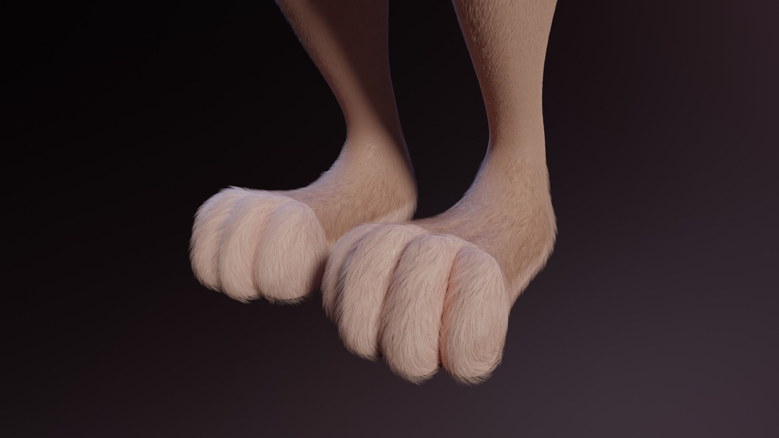 Maylin Anthro Wolf 3D model_14