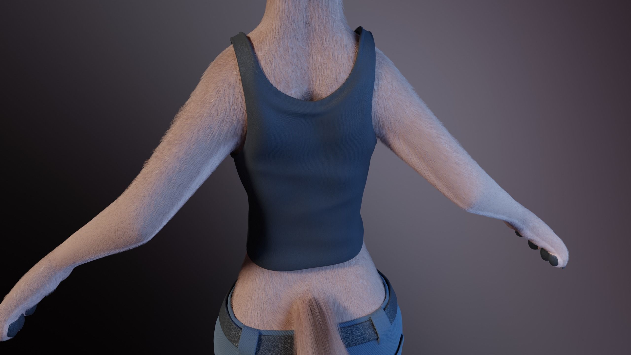 Maylin Anthro Wolf 3D model_31