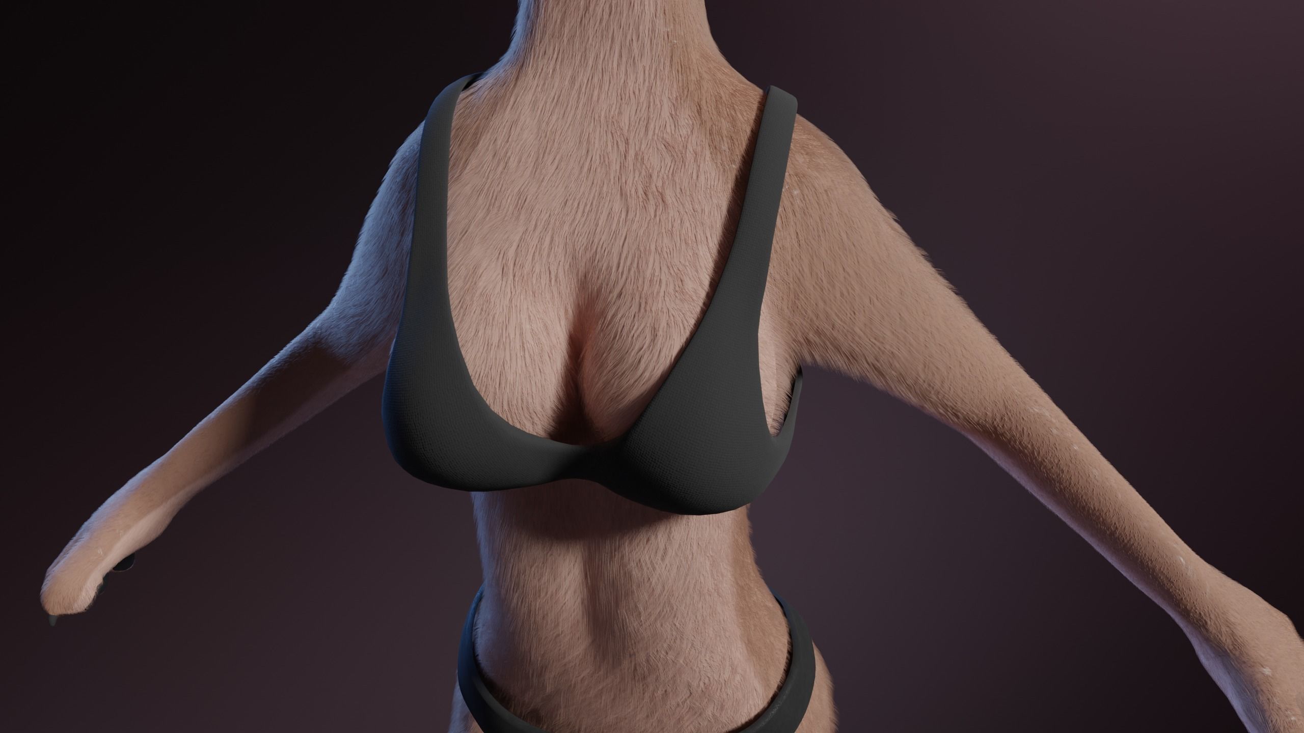 Maylin Anthro Wolf 3D model_26