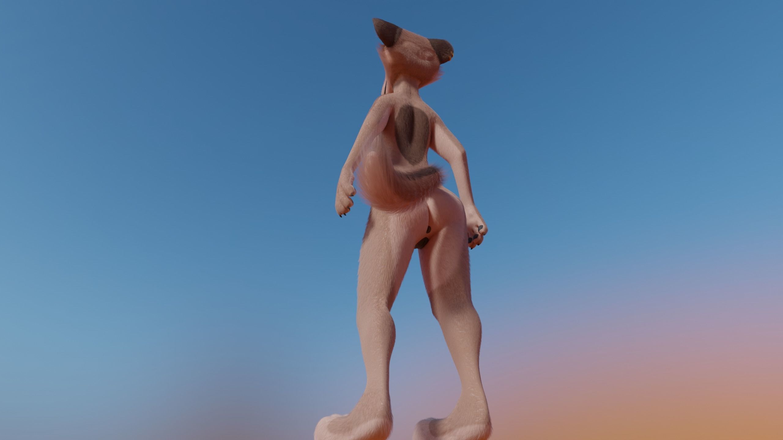 Maylin Anthro Wolf 3D model_22