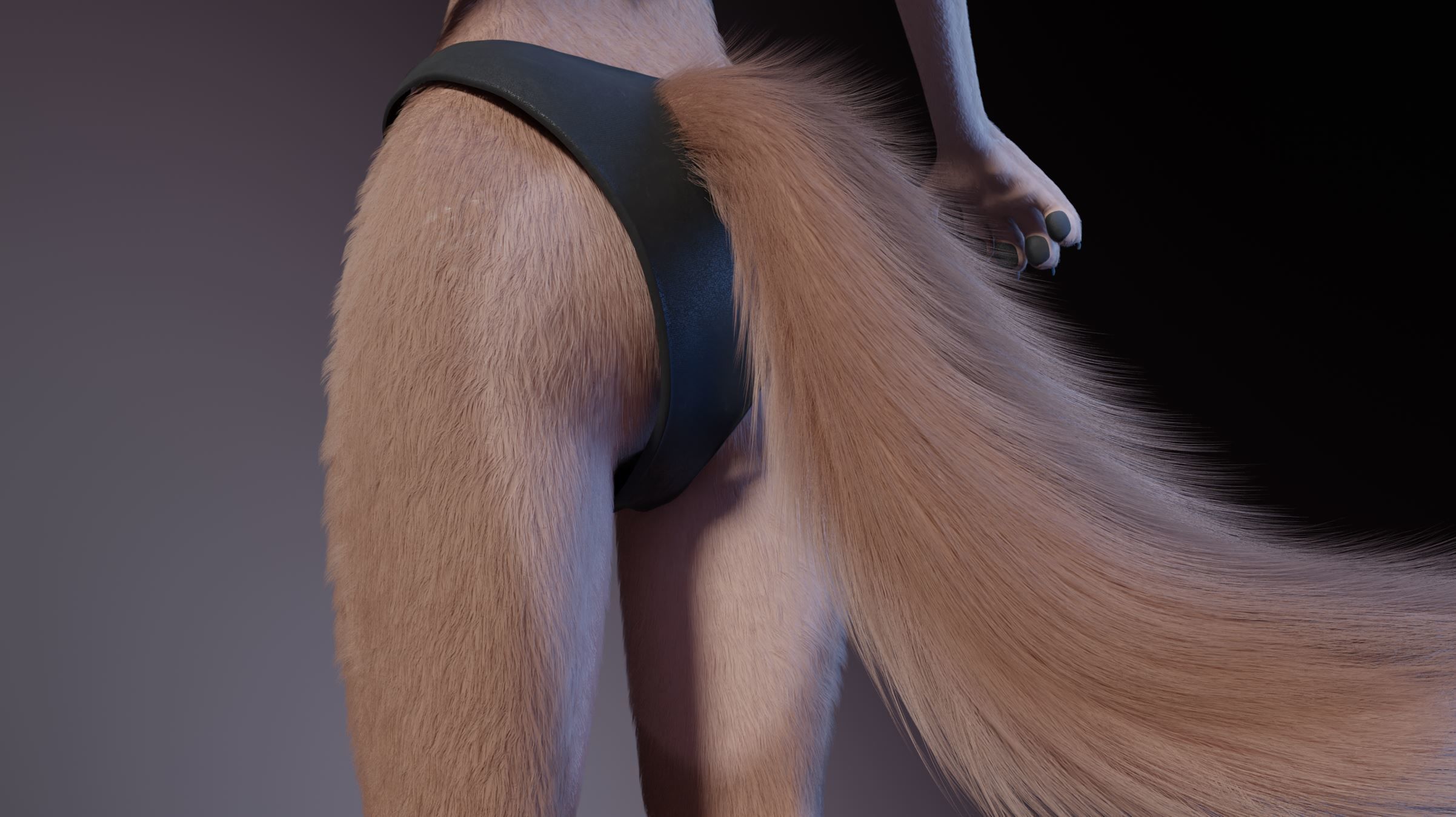 Maylin Anthro Wolf 3D model_25