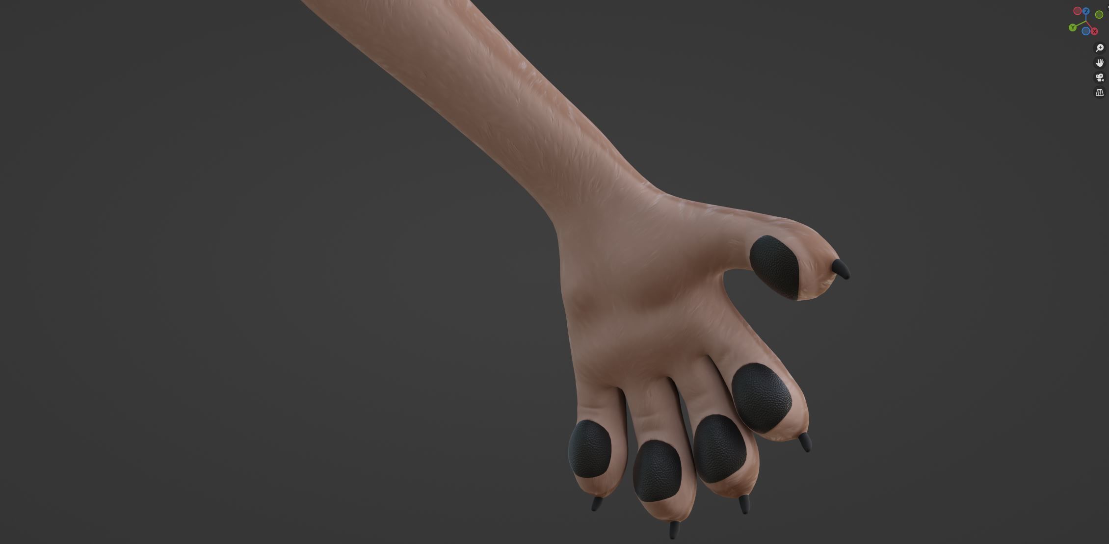 Maylin Anthro Wolf 3D model_62