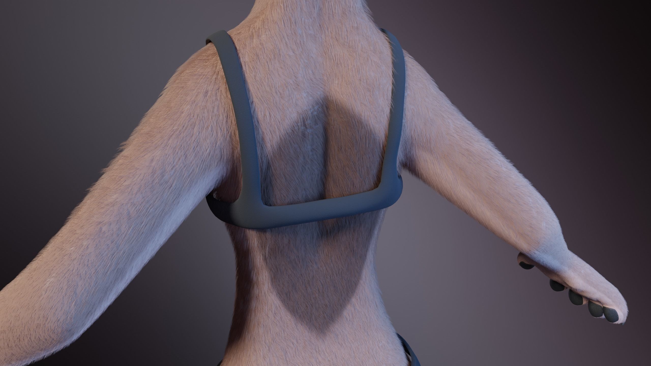 Maylin Anthro Wolf 3D model_27