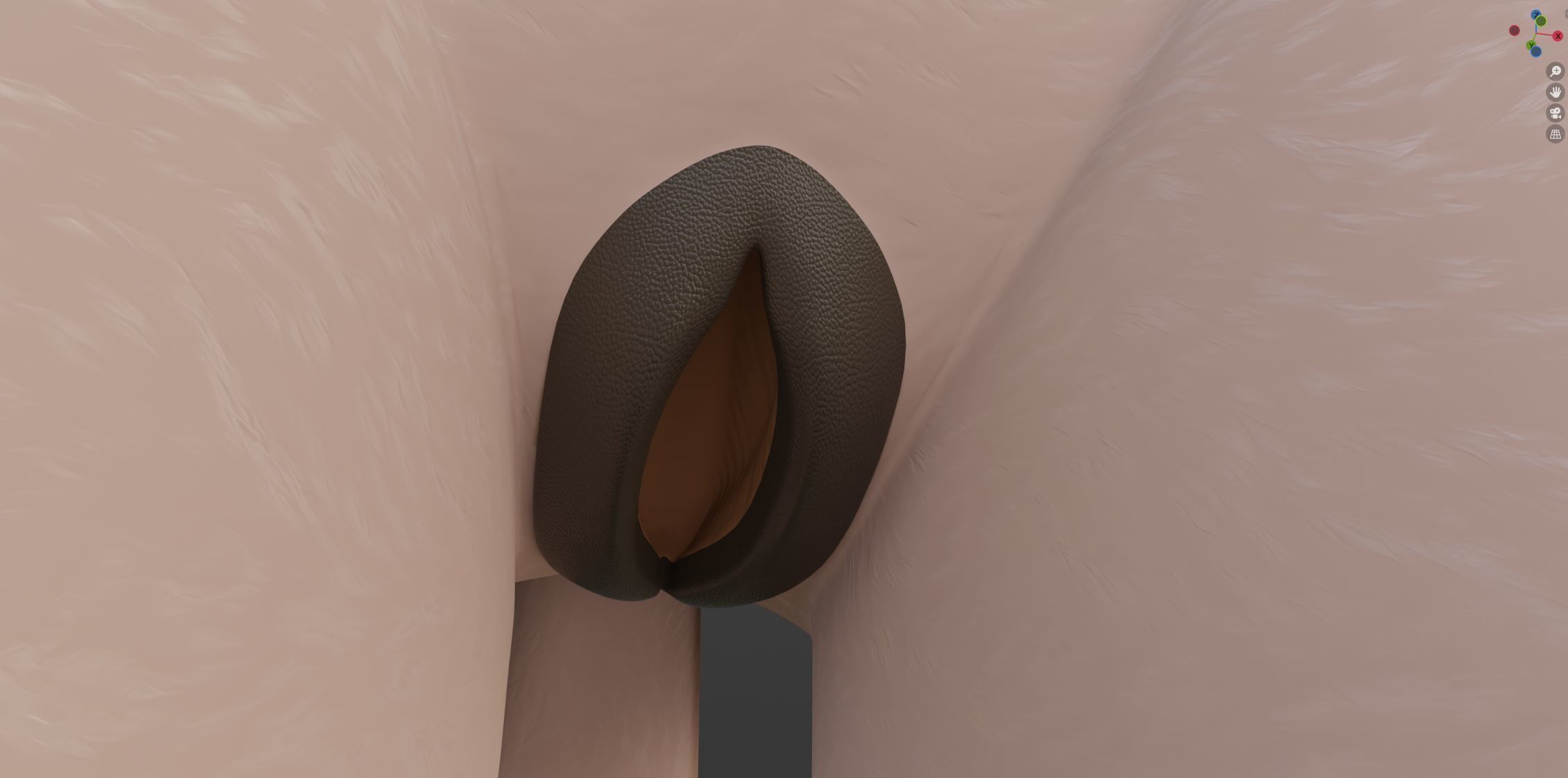 Maylin Anthro Wolf 3D model_67