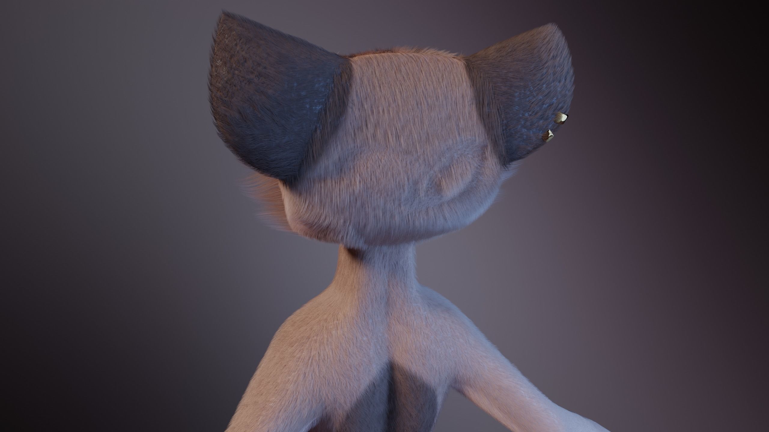 Maylin Anthro Wolf 3D model_6