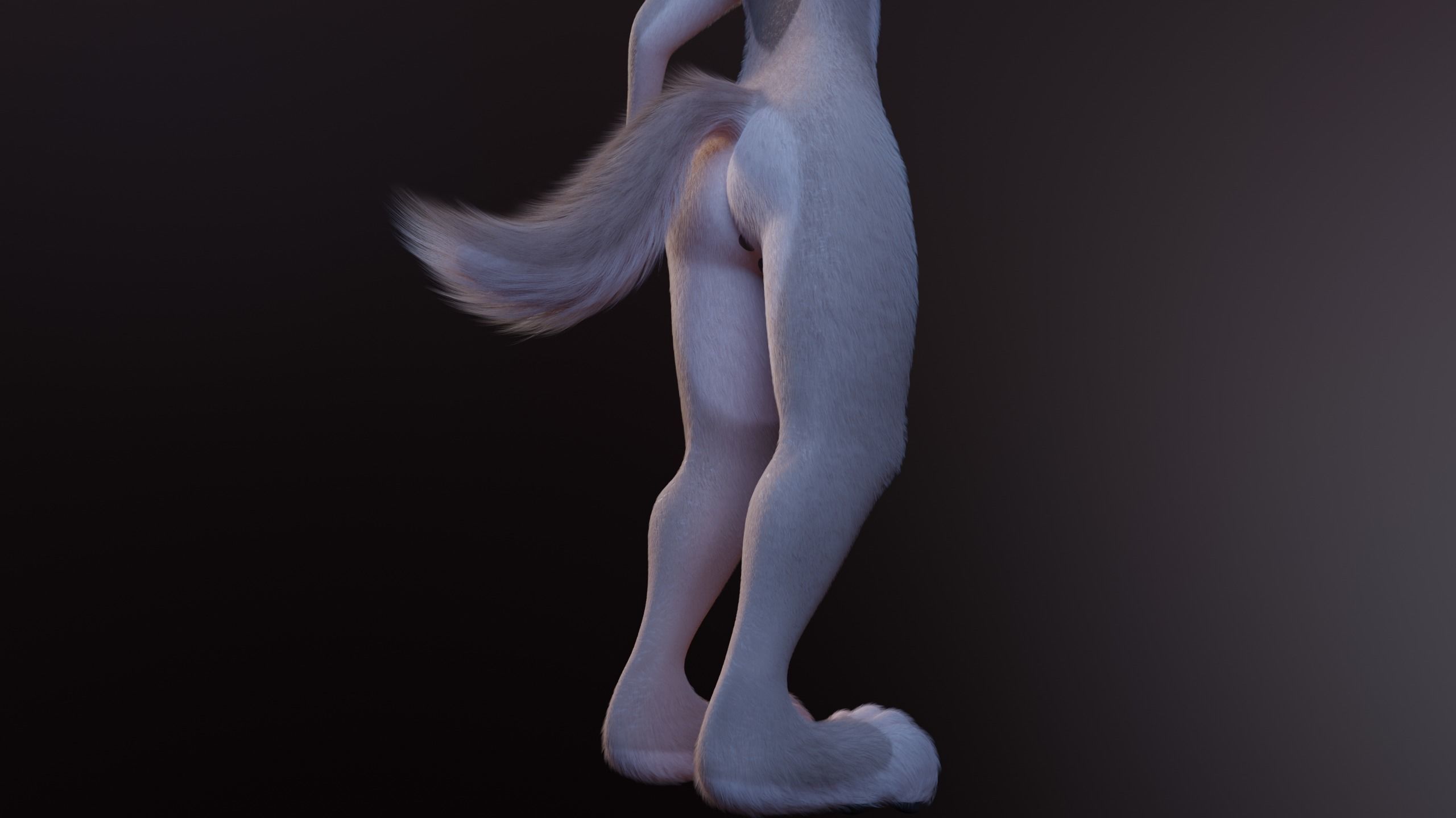 Maylin Anthro Wolf 3D model_10