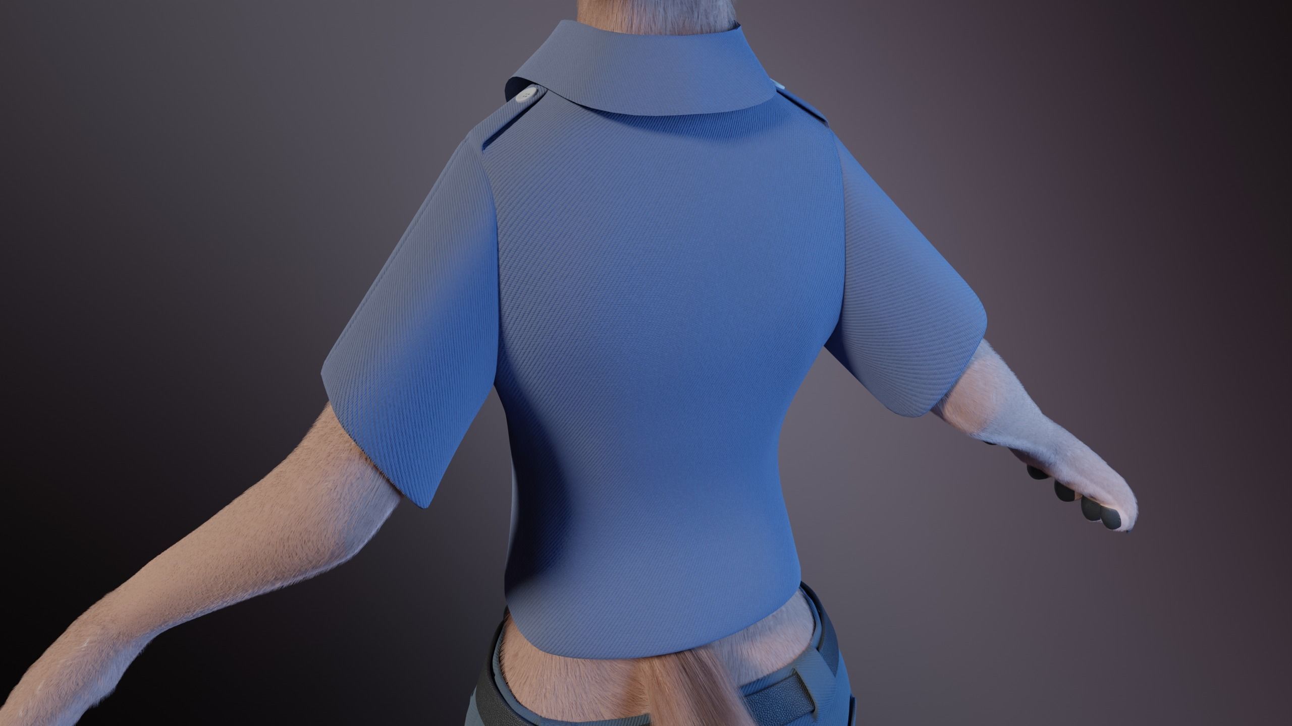 Maylin Anthro Wolf 3D model_33