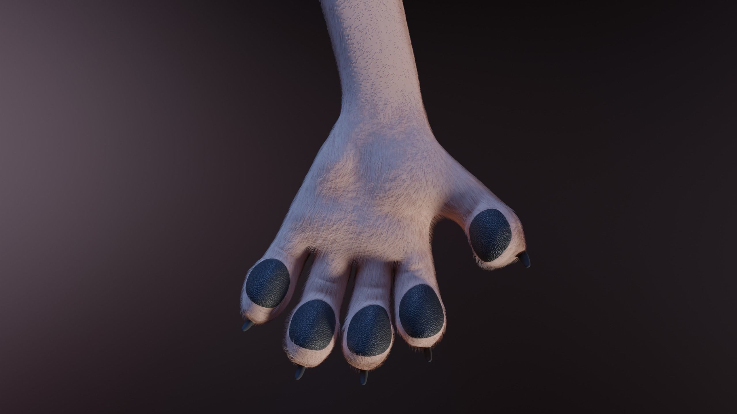 Maylin Anthro Wolf 3D model_13