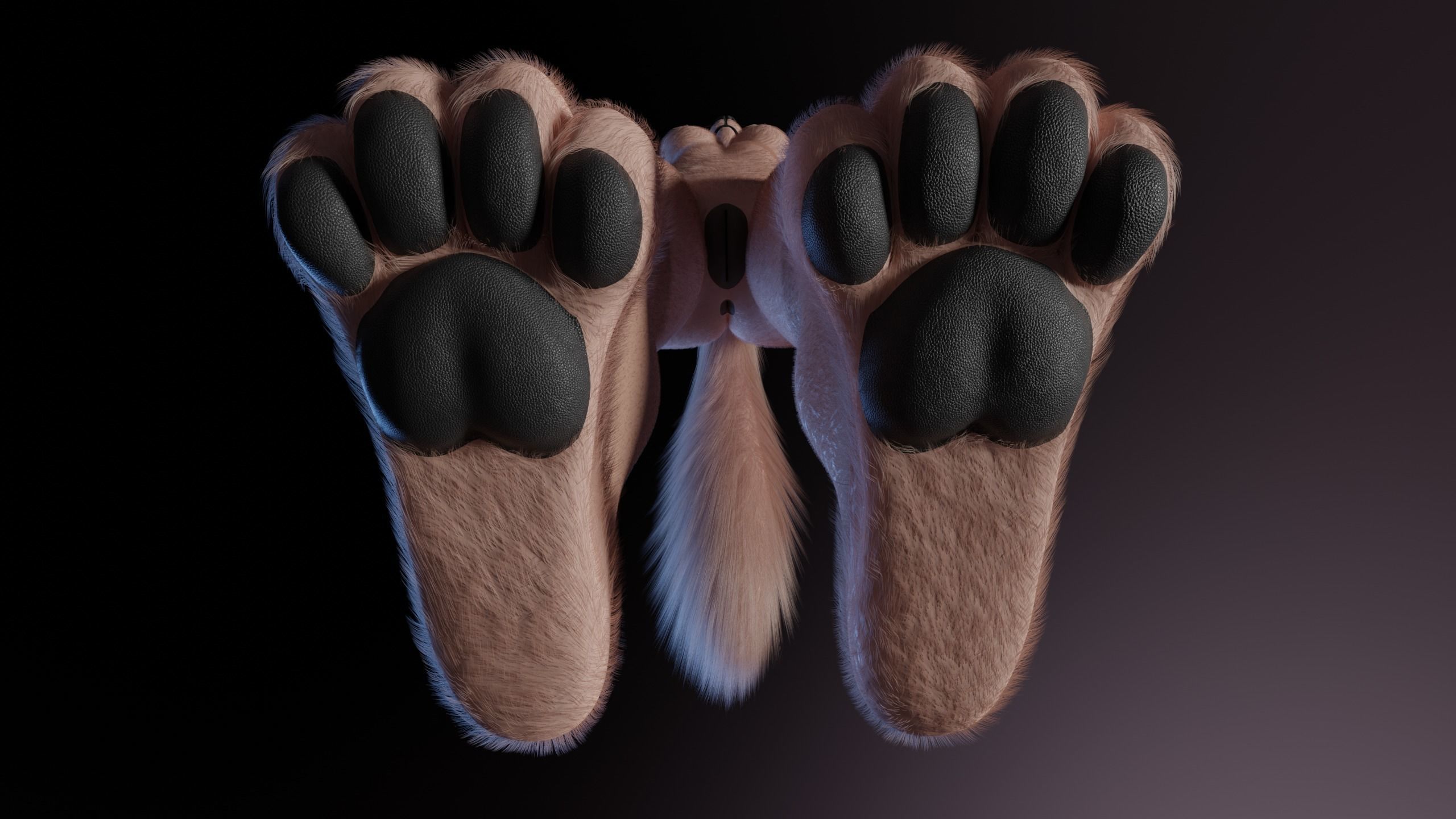 Maylin Anthro Wolf 3D model_15