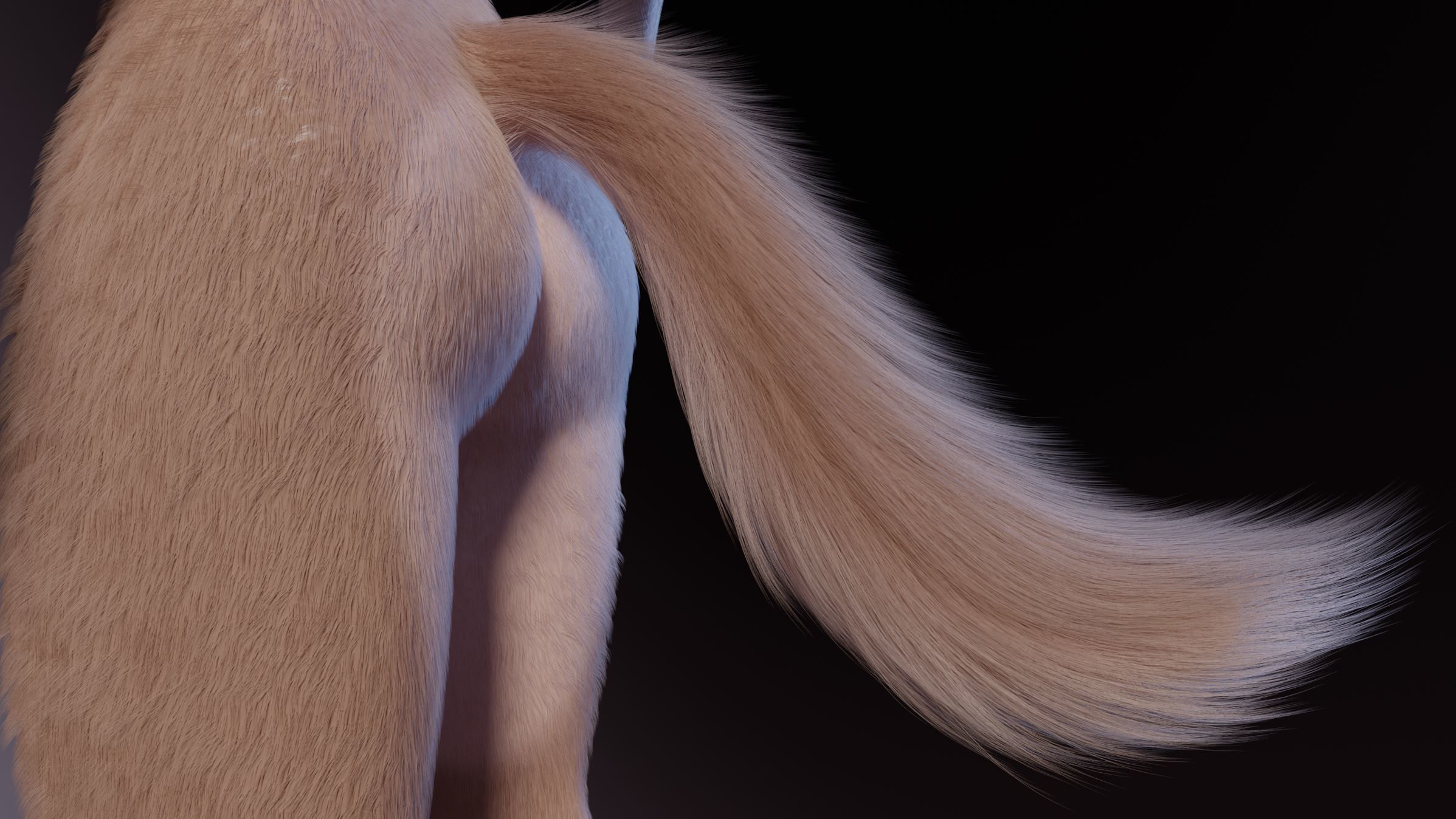 Maylin Anthro Wolf 3D model_11