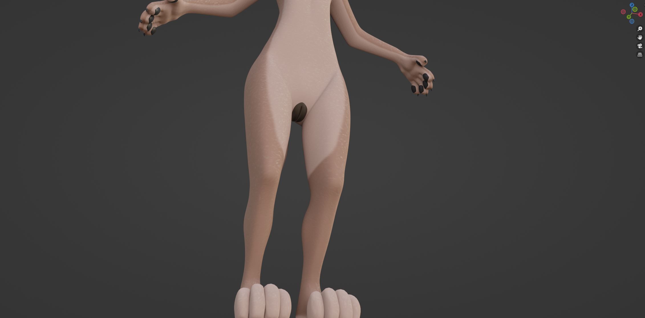 Maylin Anthro Wolf 3D model_60