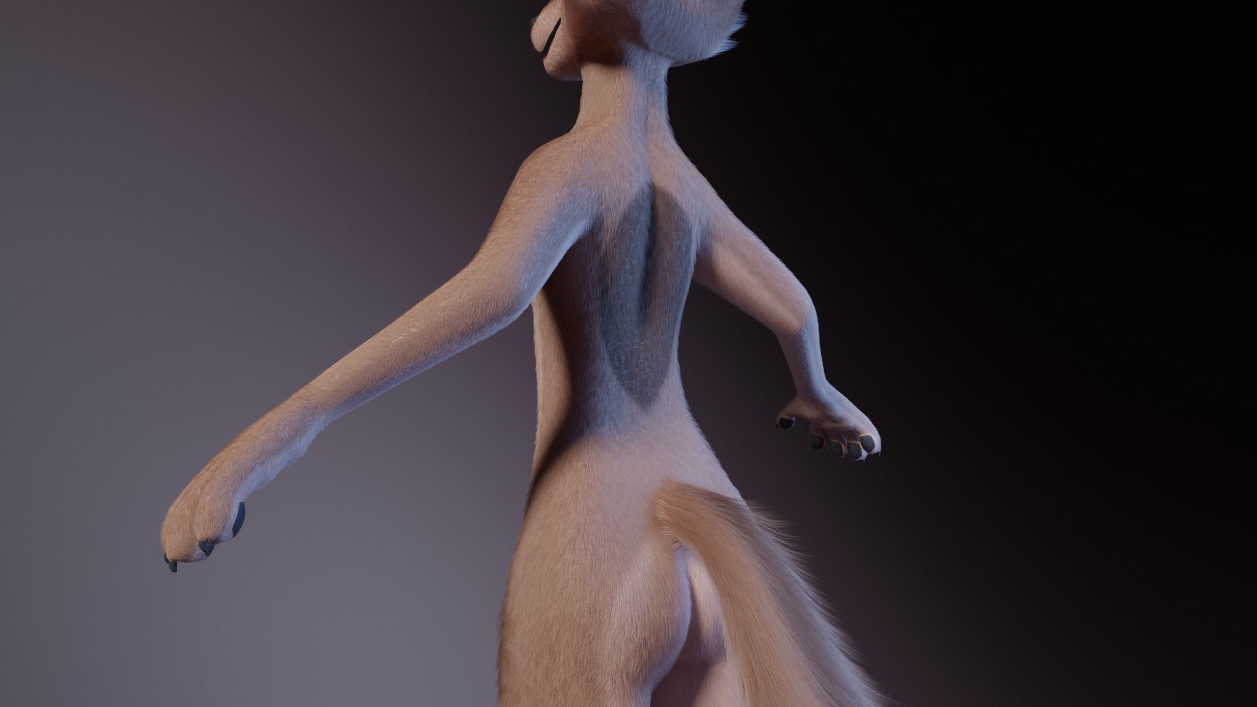 Maylin Anthro Wolf 3D model_8