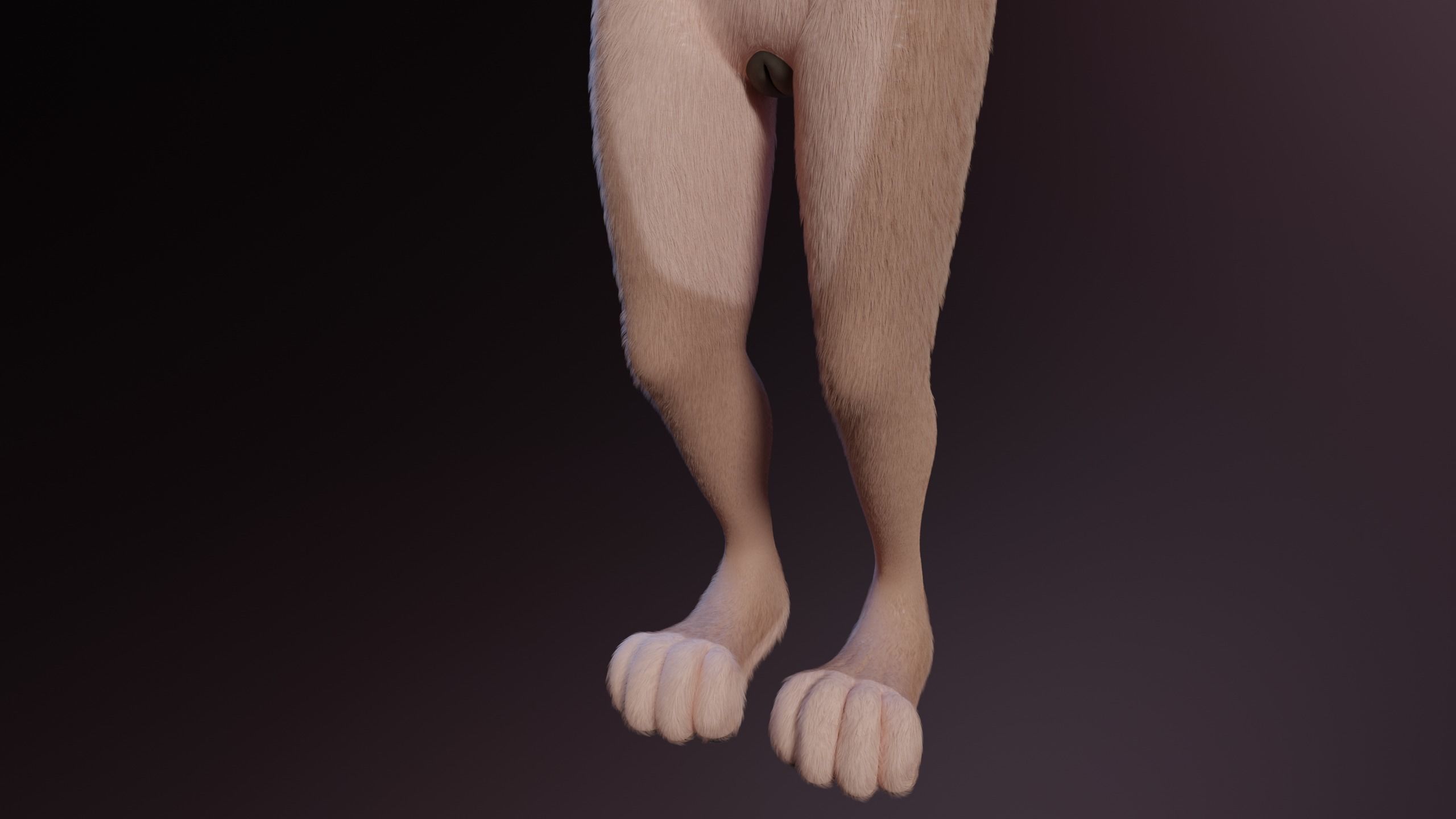 Maylin Anthro Wolf 3D model_9