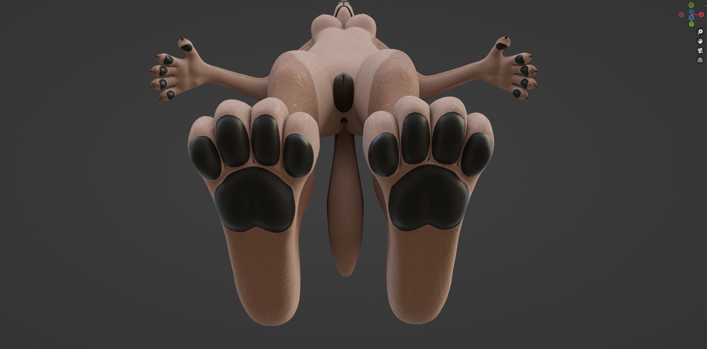 Maylin Anthro Wolf 3D model_64