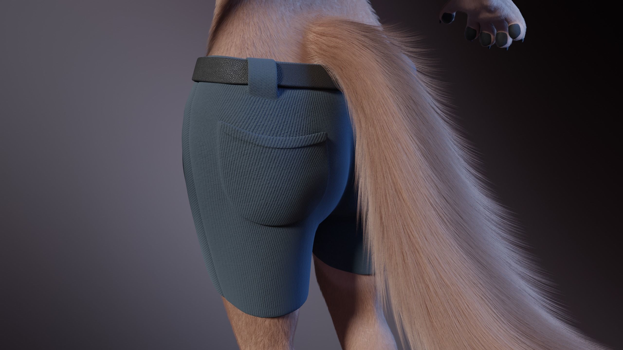 Maylin Anthro Wolf 3D model_29