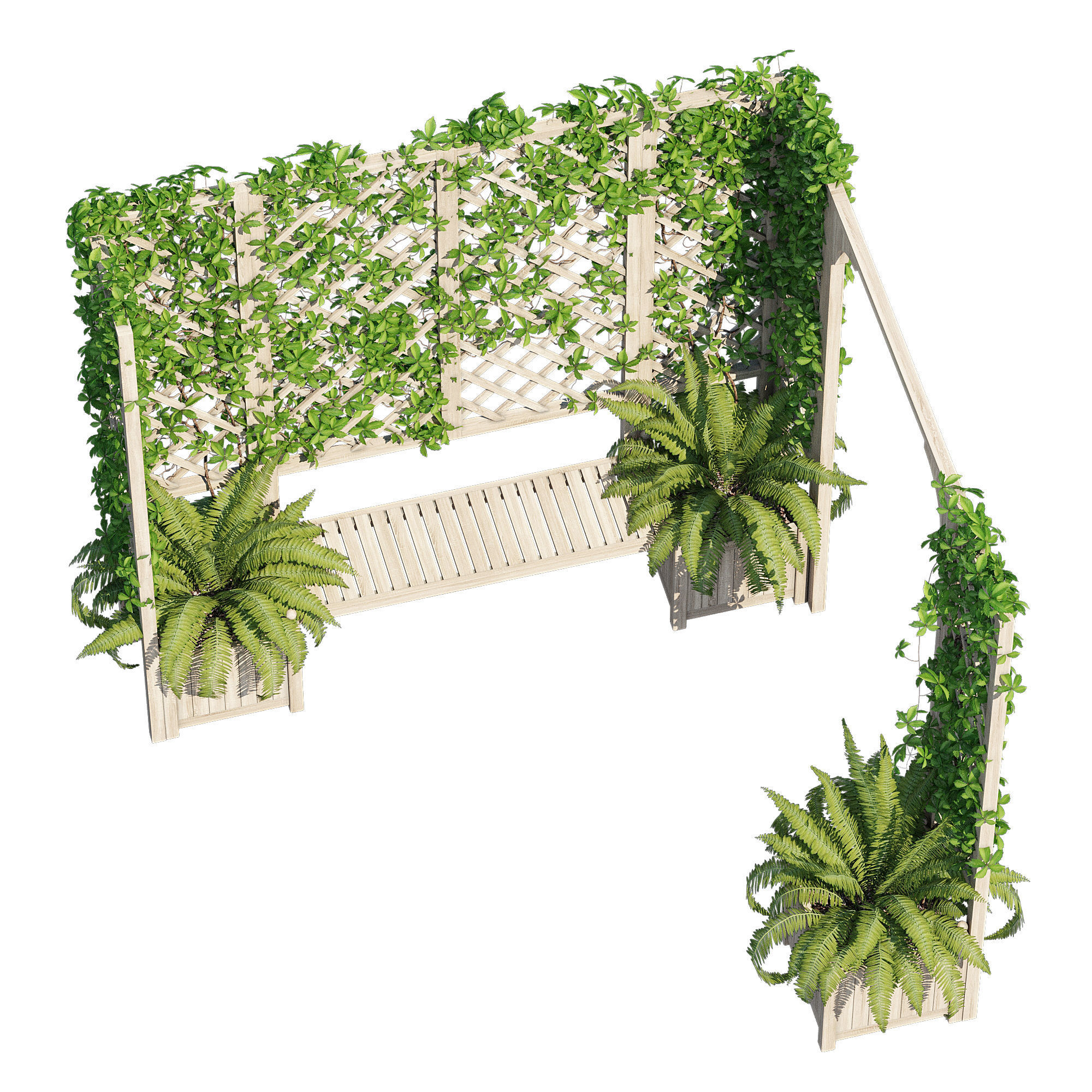 eucalyptus ivy 3D model_3