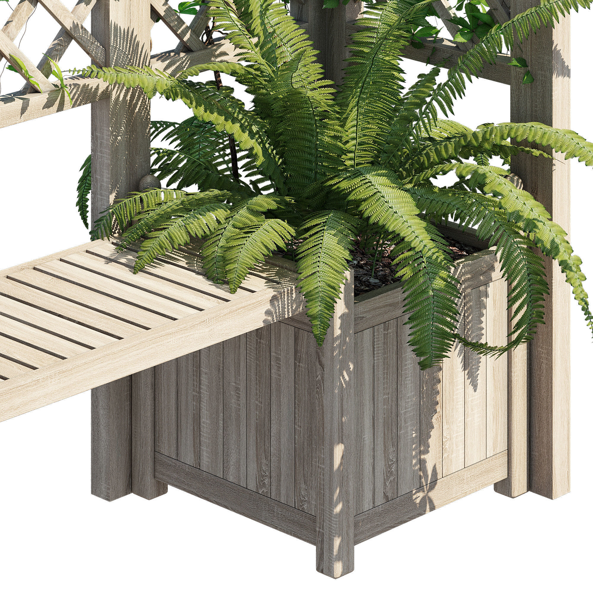 eucalyptus ivy 3D model_4