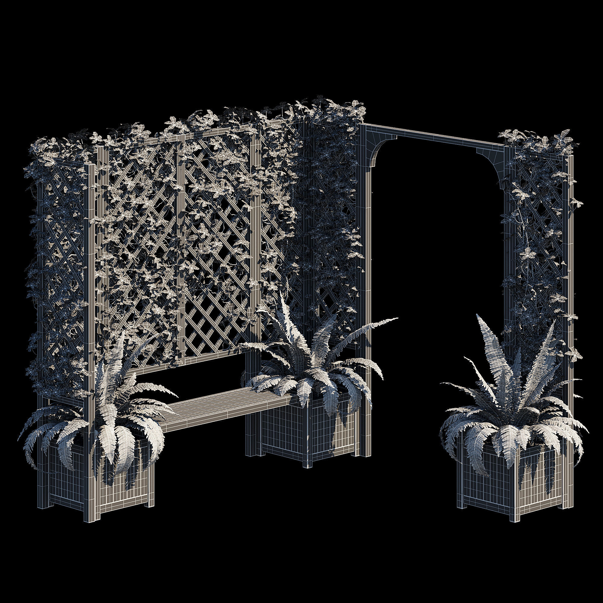 eucalyptus ivy 3D model_13