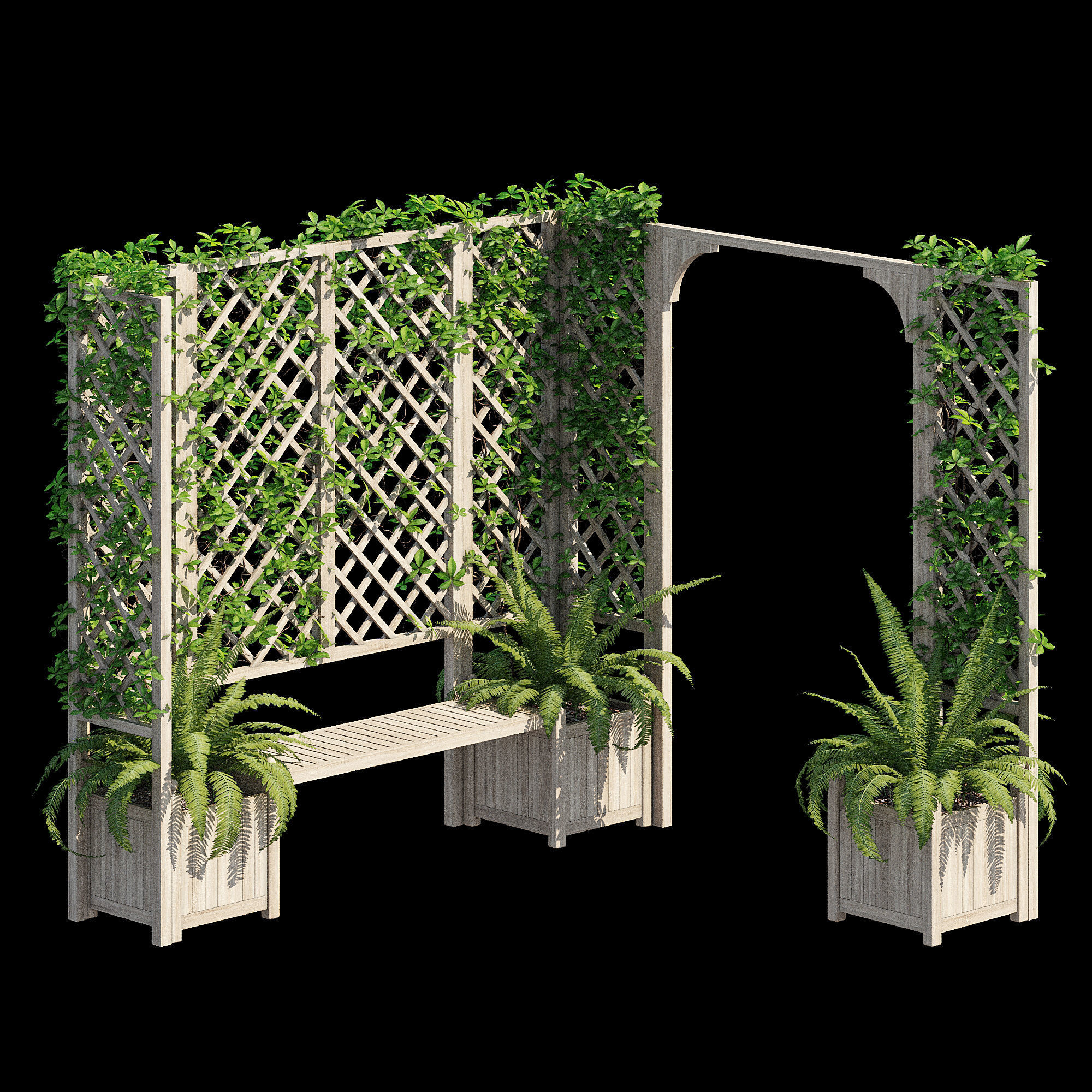 eucalyptus ivy 3D model_8