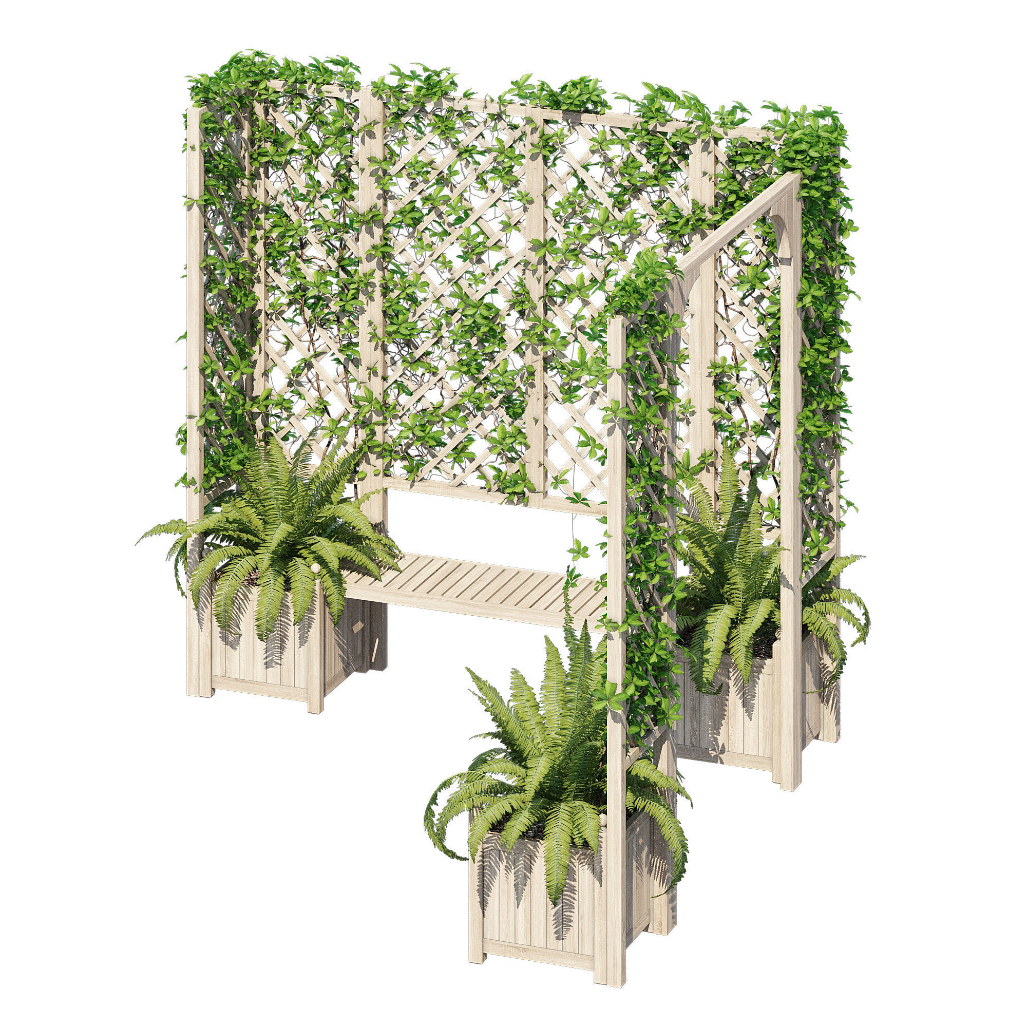 eucalyptus ivy 3D model_2