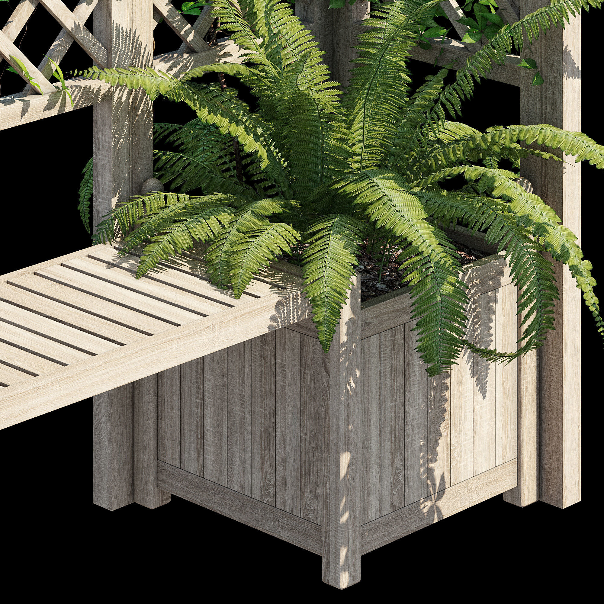 eucalyptus ivy 3D model_11