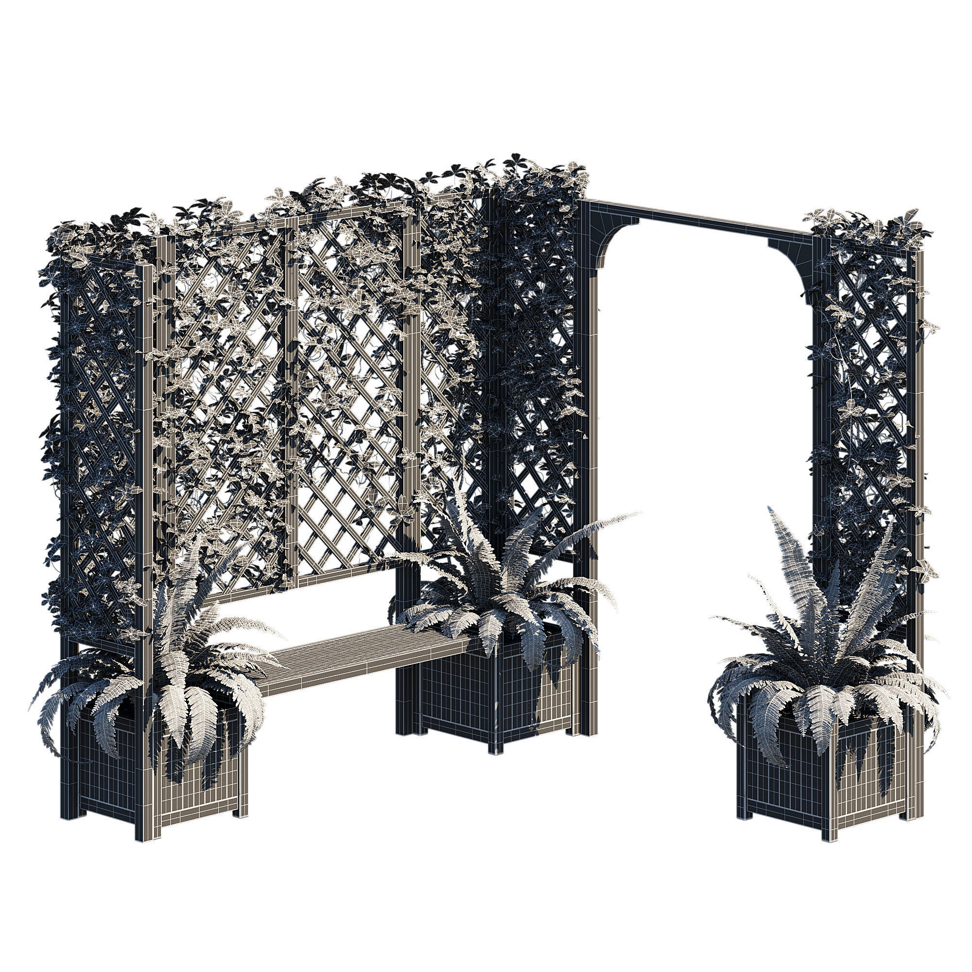 eucalyptus ivy 3D model_6