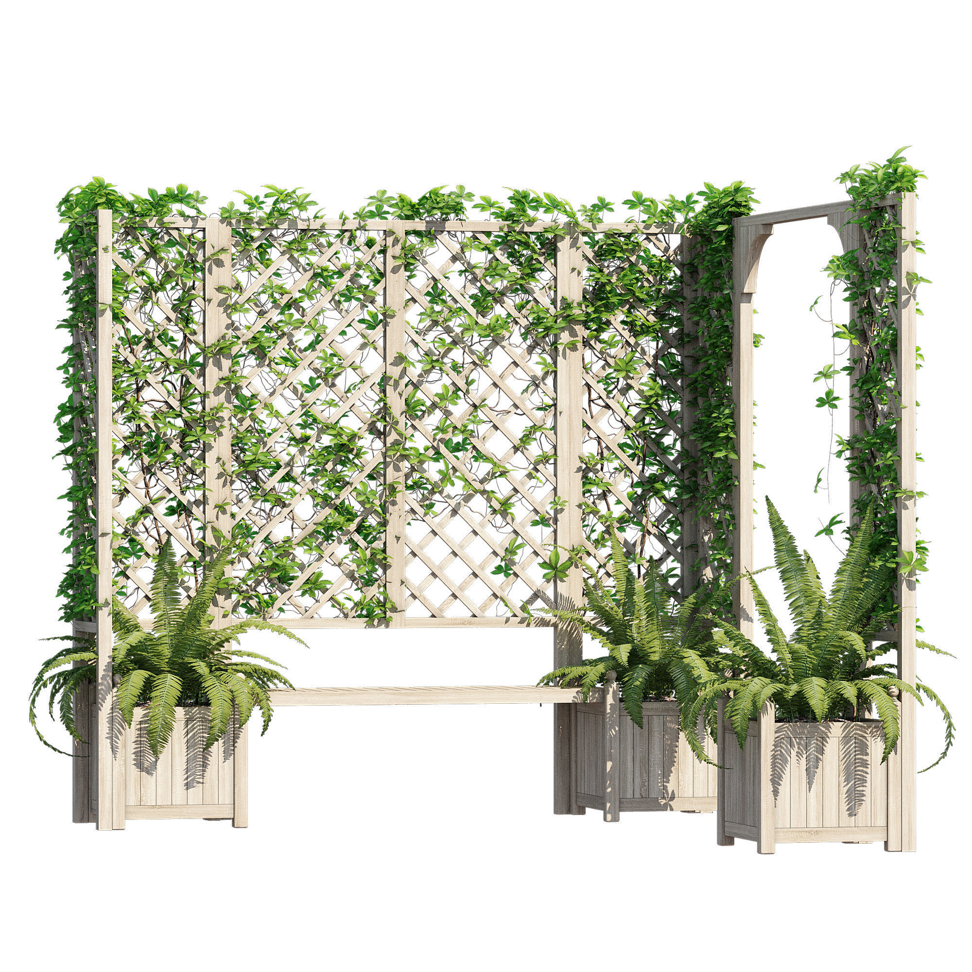 eucalyptus ivy 3D model_1