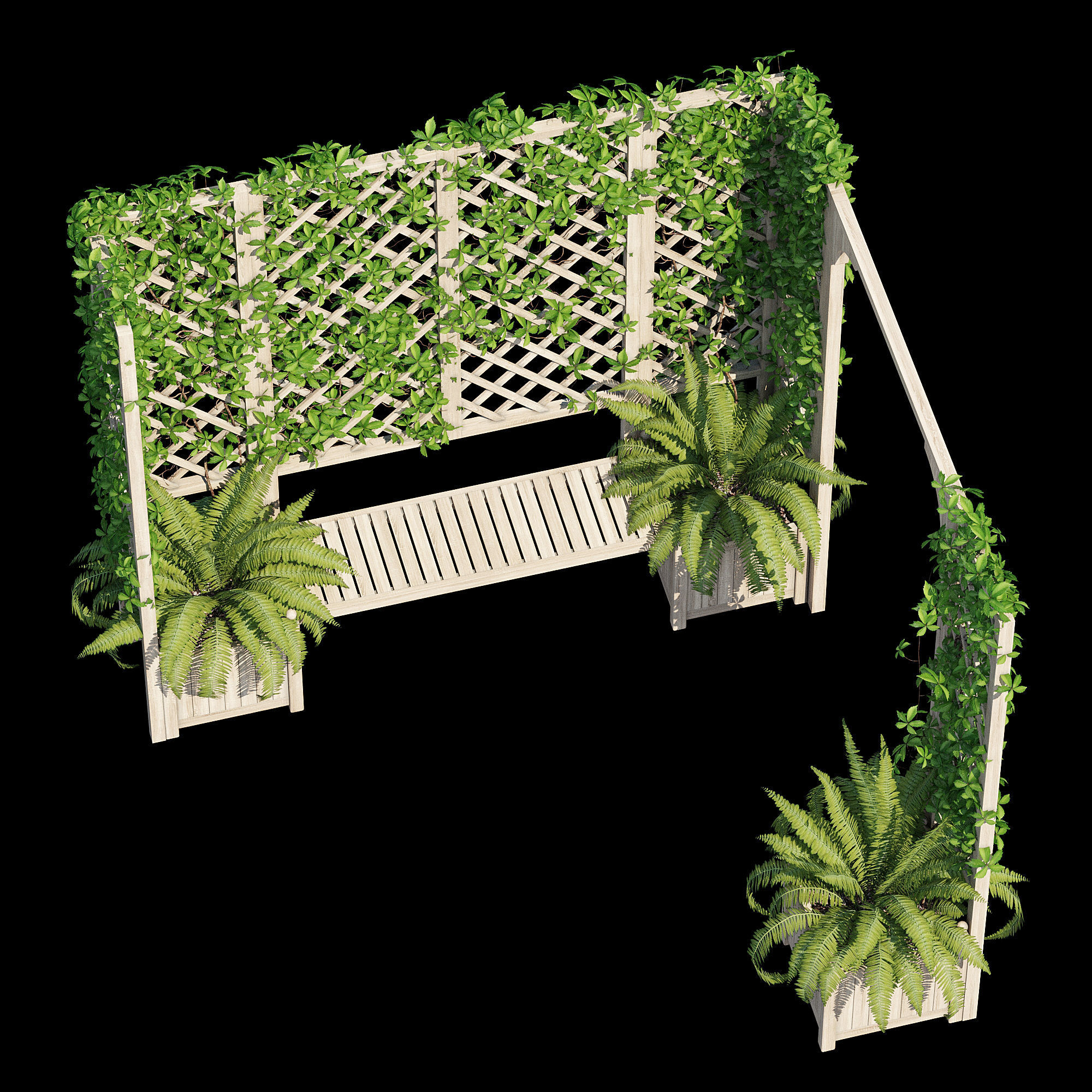 eucalyptus ivy 3D model_10