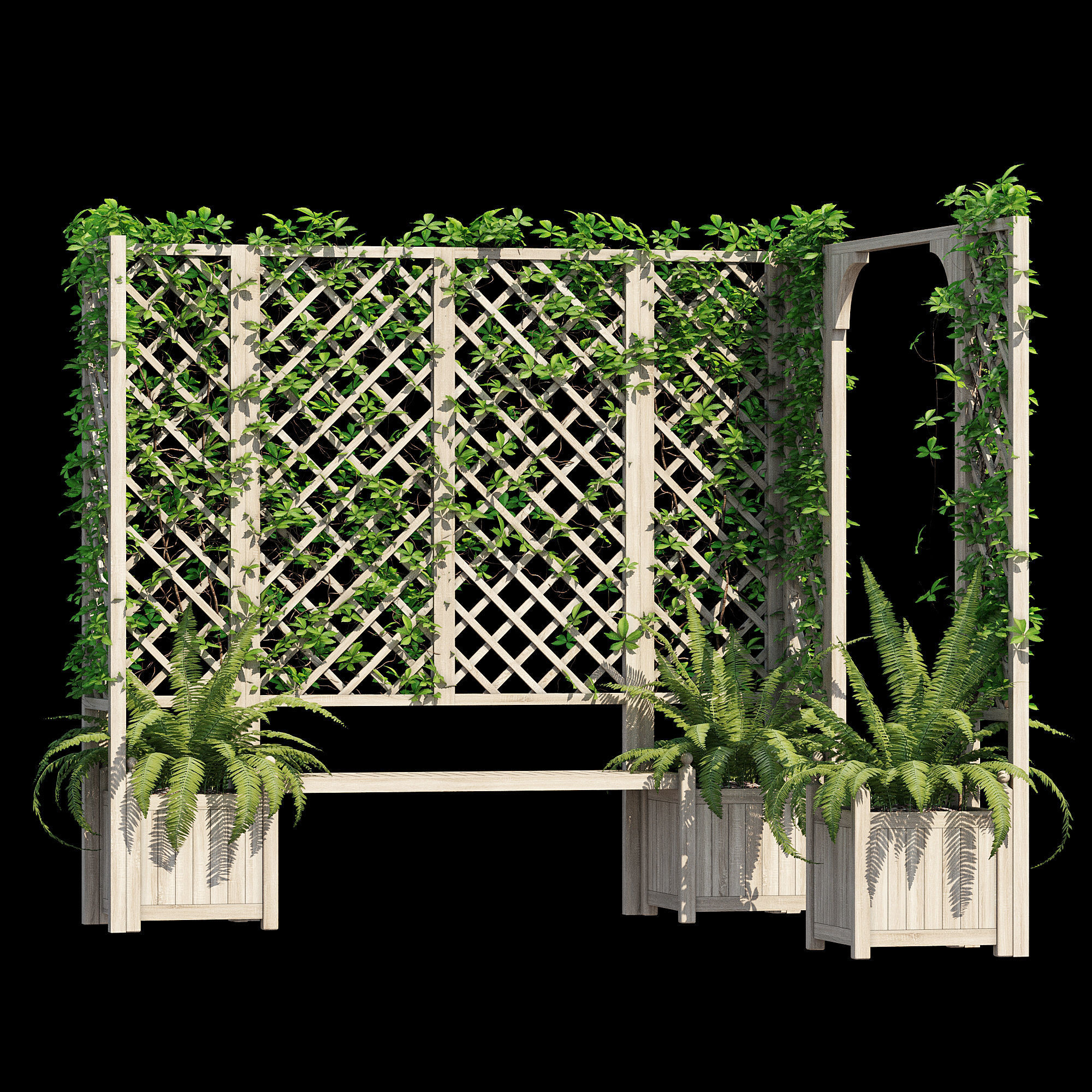 eucalyptus ivy 3D model_7