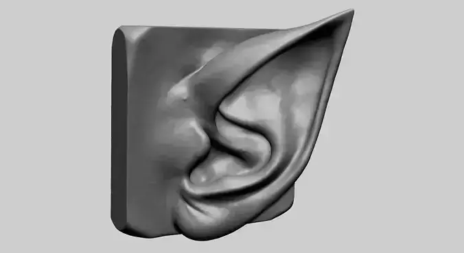Ear Model C