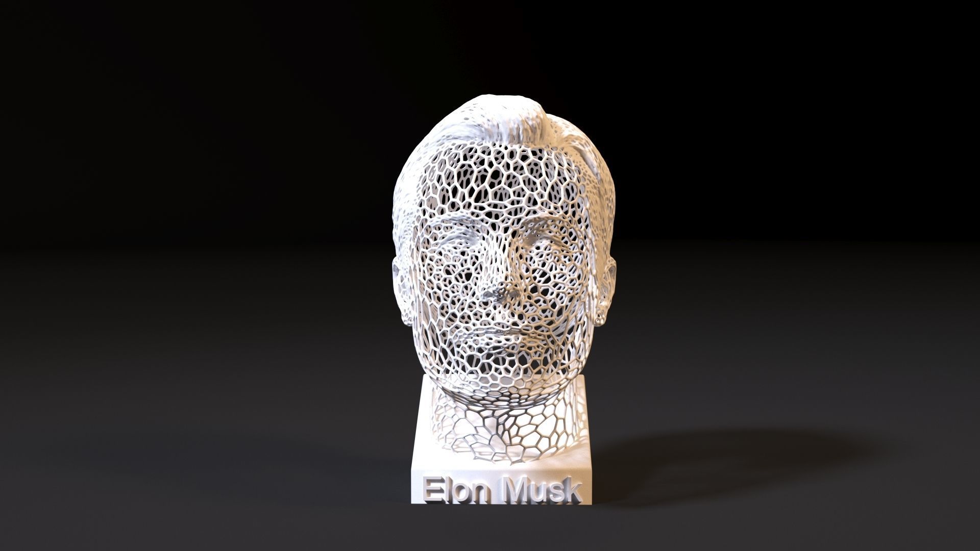 Elon Musk 3D print model_8
