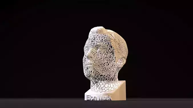 Elon Musk 3D print model