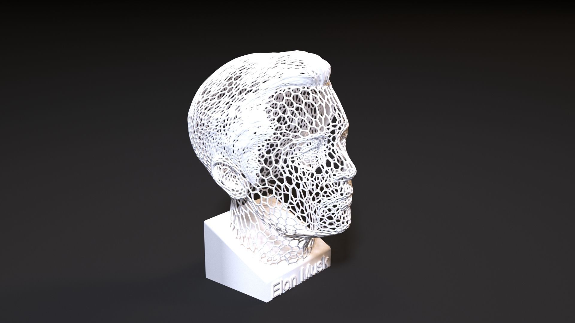 Elon Musk 3D print model_7