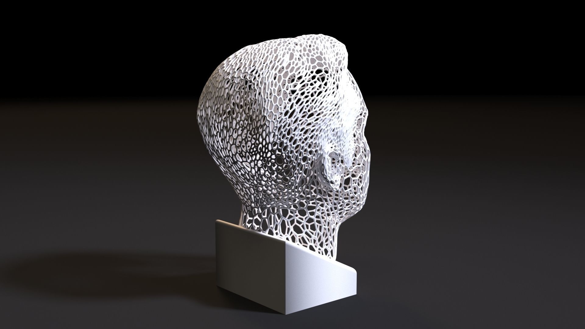 Elon Musk 3D print model_5