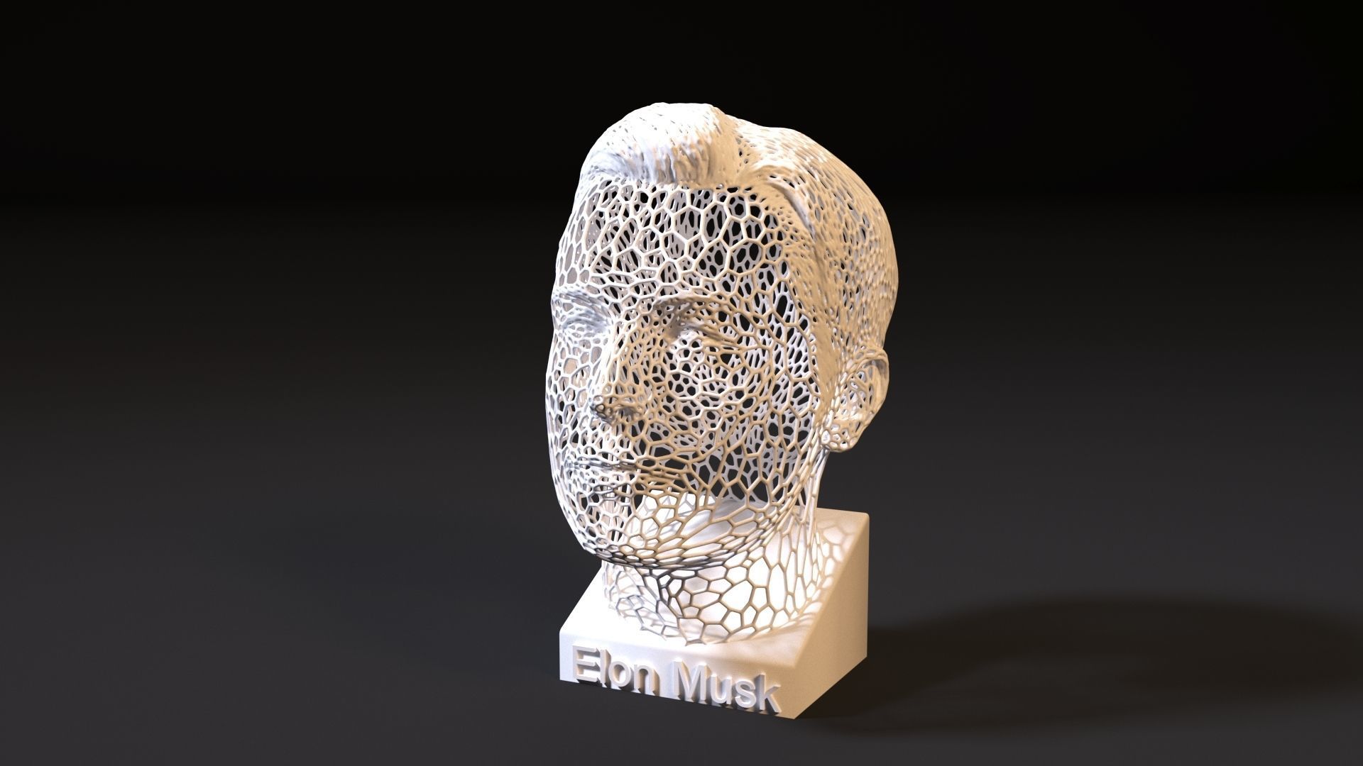 Elon Musk 3D print model_10