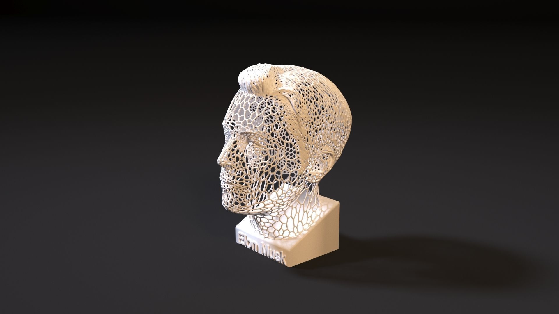 Elon Musk 3D print model_1