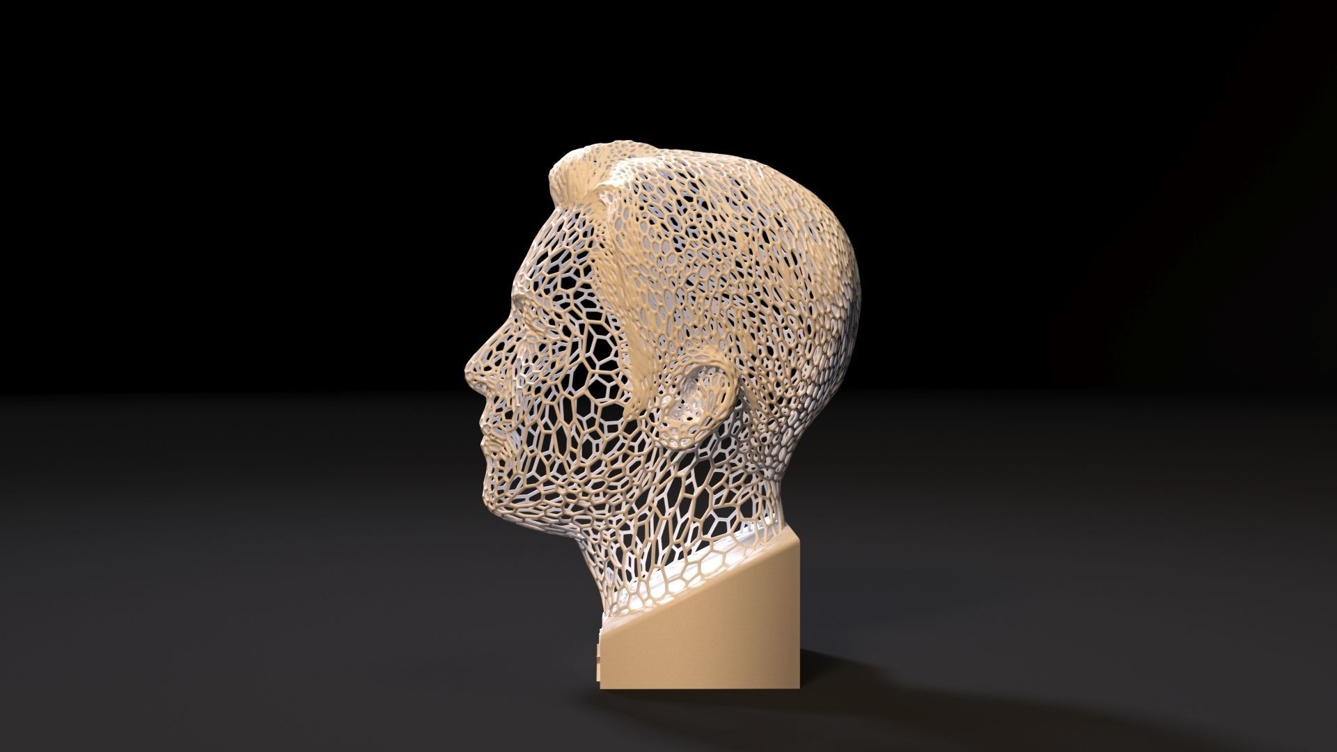 Elon Musk 3D print model_2