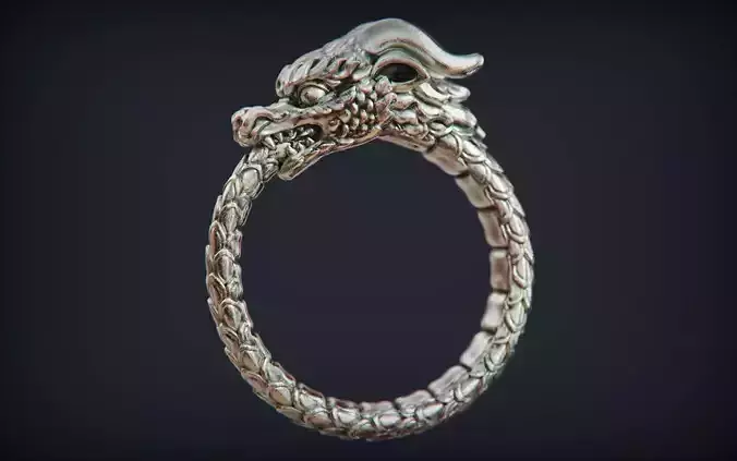 Dragon Ring Ouroboros