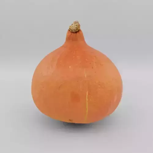 hokkaido pumpkin - photoscan