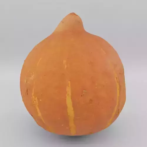 hokkaido pumpkin - photoscan