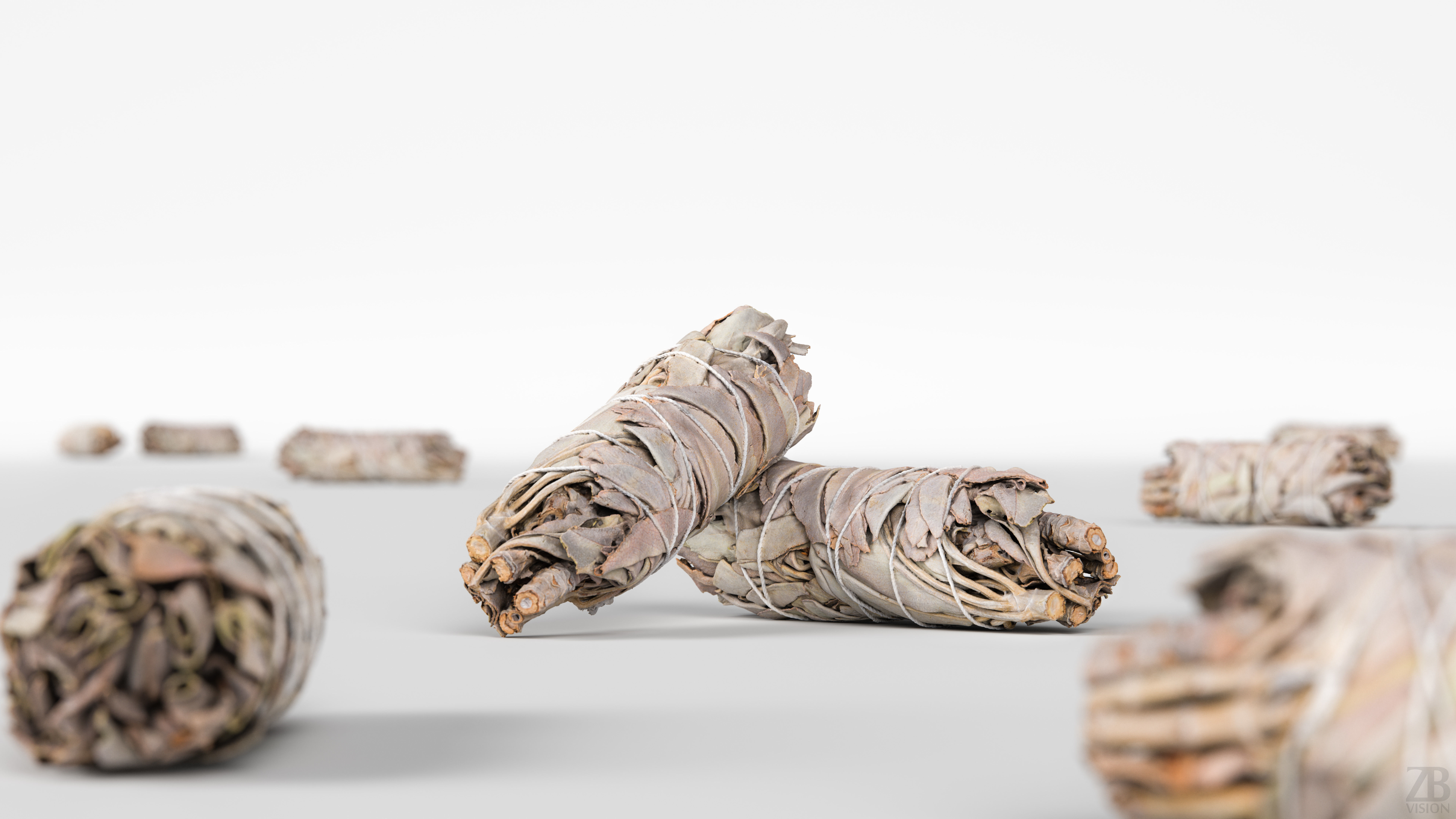 Sage Bundle 3D model_1