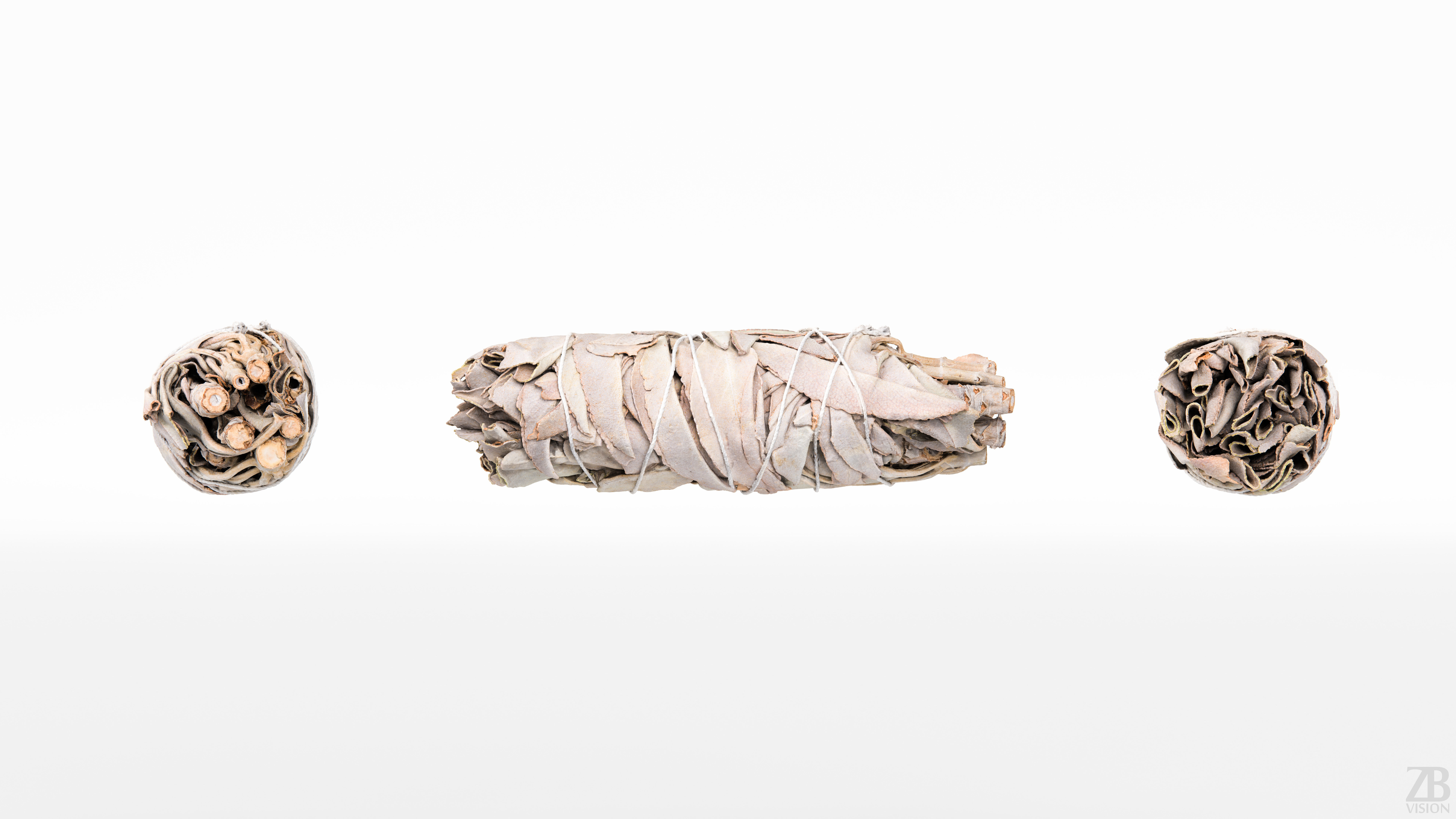 Sage Bundle 3D model_4