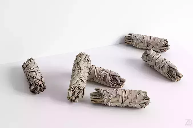 Sage Bundle 3D model